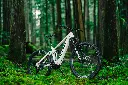 LIT01551.webp