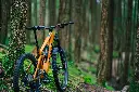 LIT00935.webp