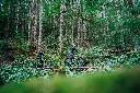 LIT02516.webp