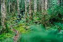 LIT02539.webp