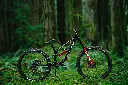 TR1125gxblack.webp