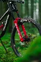 LIT07795.webp