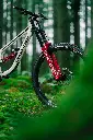 LIT07955-2.webp